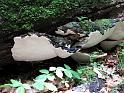 2010-06-12, Uttewalder Grund (15)